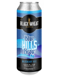 Blue Hills Brew Blueberry Ale