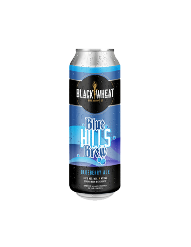Blue Hills Brew Blueberry Ale